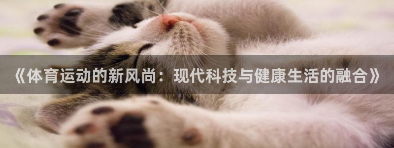 沐鸣主管