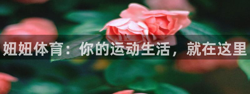沐鸣能源