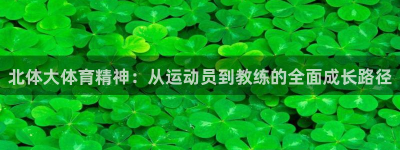 沐鸣3登录