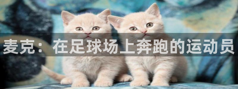 沐鸣体育1招商