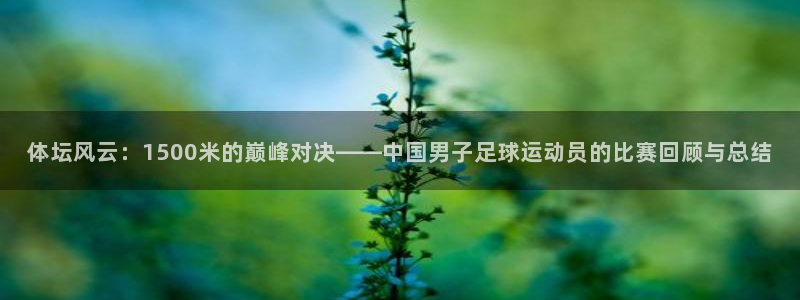 沐鸣网页版地址