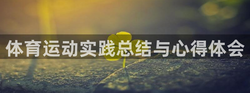 沐鸣网站