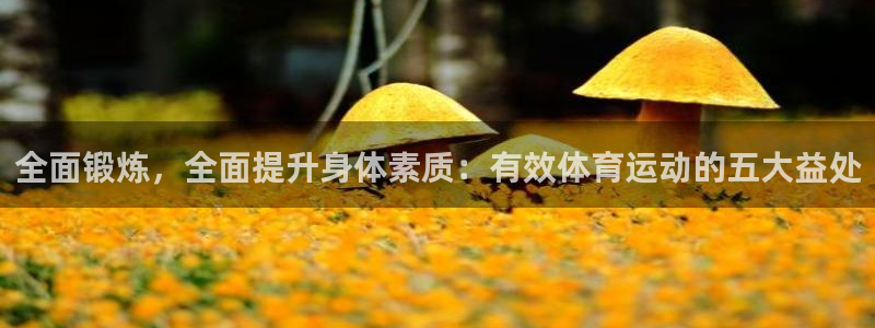 沐鸣注册网站