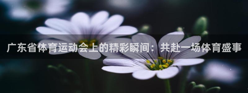 沐鸣4平台