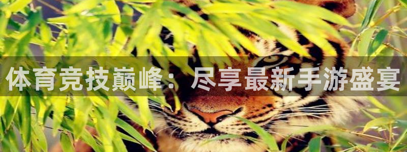 沐鸣2登录
