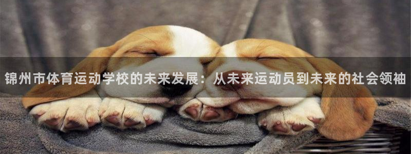 沐鸣体育网页版入口