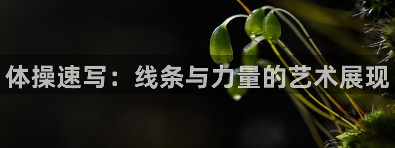 沐鸣2注册
