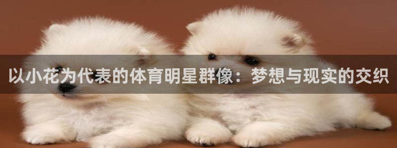 沐鸣代理