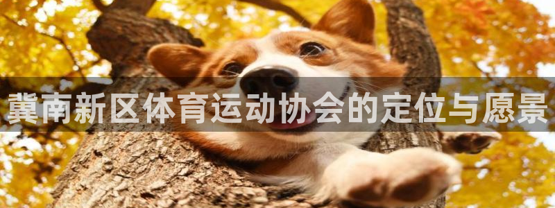 沐鸣能源