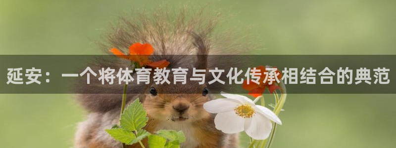 沐鸣4代理