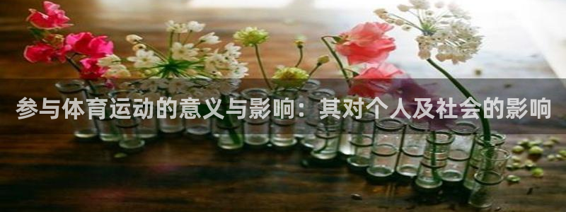 成都沐鸣电子有限公司