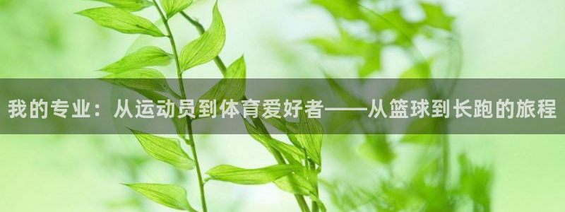 沐鸣体育凯捷平台主管