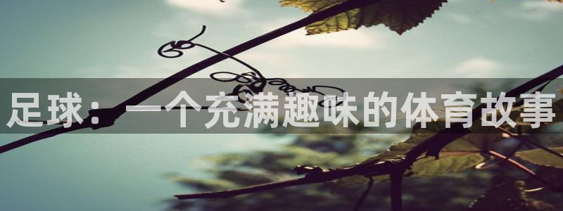 沐鸣网页版地址