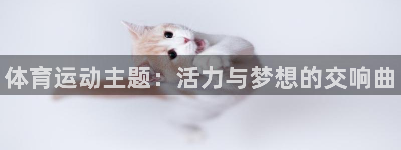 沐鸣2官方登录