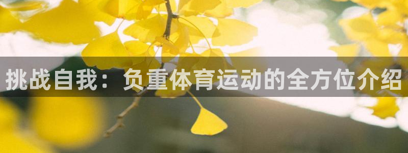 上海沐鸣汽车电子有限公司
