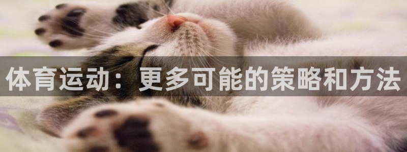 沐鸣登录网址