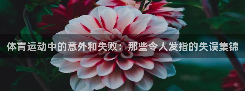 沐鸣娱乐登录